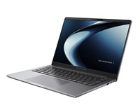 Asus Notebook PM3406CKA-LY0433X 14in R5-330 16G 512G WUXGA W